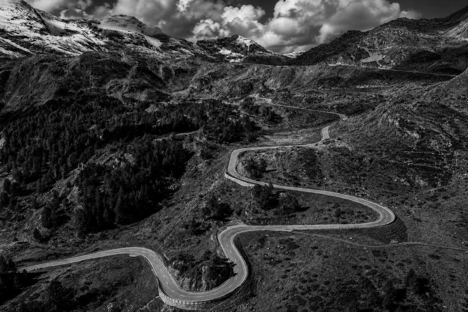 Bernina