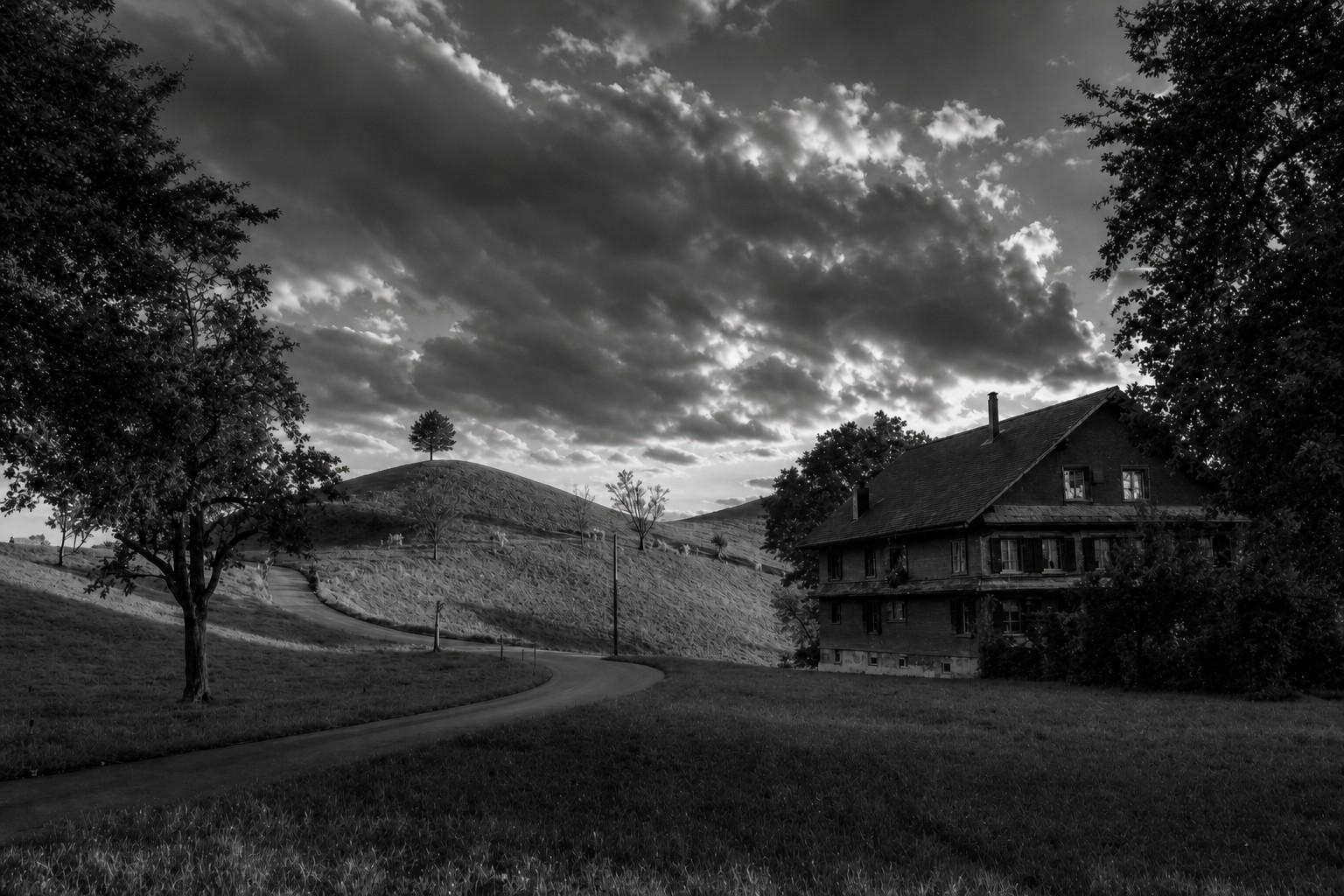 Hirzel