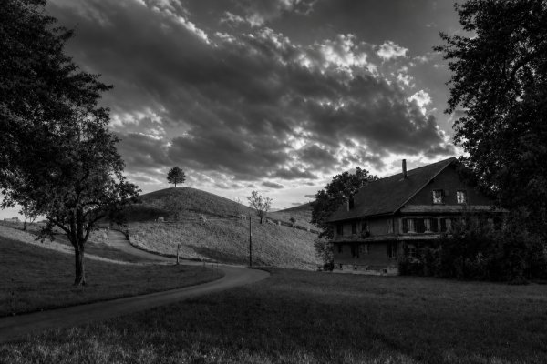 Hirzel